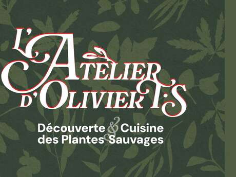 l'Atelier d'Olivier TS - Découverte plantes sauvages