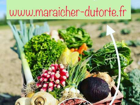 Maraîcher Dutorte
