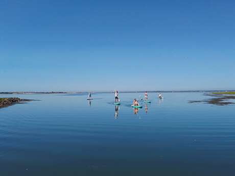 Randonnée en stand-up paddle dans les espaces naturels par Sup Évasion à Loix Randonnée en stand-up paddle dans les espaces naturels par Sup Évasion à Loix
