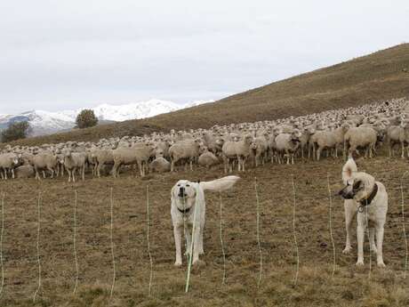 Ciné-Casset : "Rasco et nous"