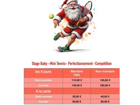 Tennis classes - Tennis Municipal Ollioulais (TMO)