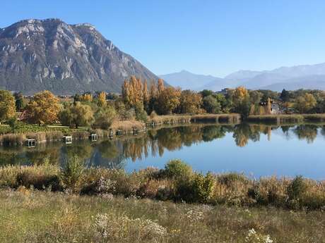 Découverte de la biodiversité