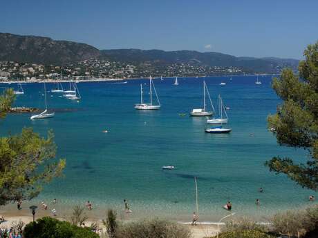 La méditerranée : du rayol au lavandou