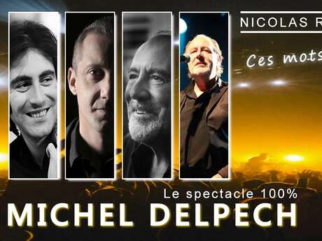 Diner - Concert: Michel DELPECH door Nicolas REYNO