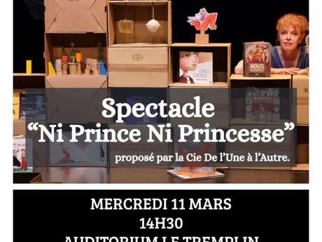 Spectacle : Ni Prince, Ni Princesse