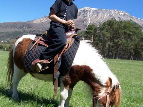 Balade à poney en main