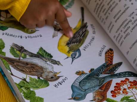 Atelier du mois spécial Fête de la Nature