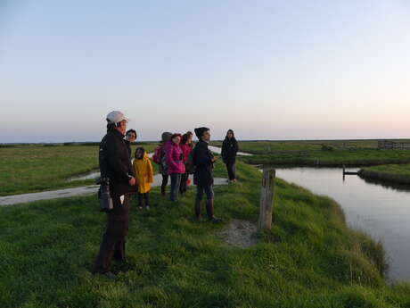 Der Dämmerungsspaziergang im Naturreservat Moëze-Oléron
