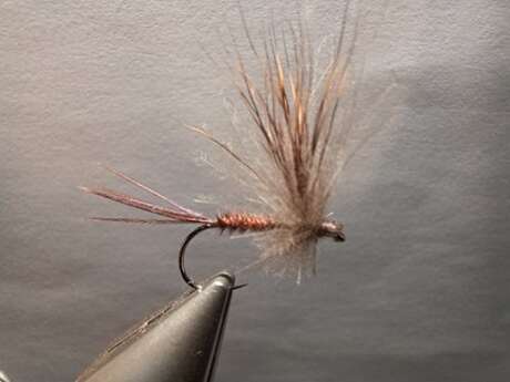 Découverte pêche à la mouche