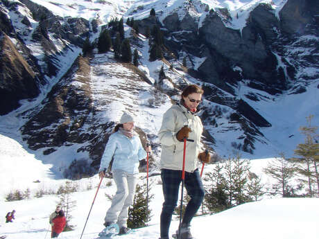 Sortie raquettes Le cirque grandiose - voir des chamois