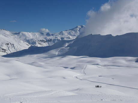 Grand nord, grand angle !