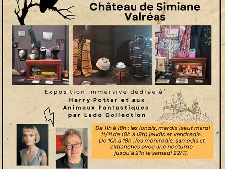 Exposition immersive Harry Potter et les Animaux Fantastiques