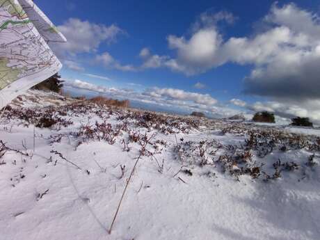 Initiation à l'orientation