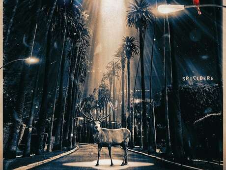 Cinema - Disclosure Day