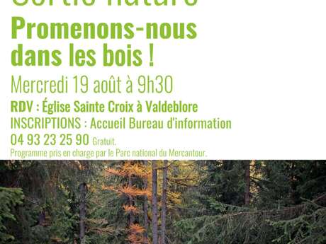 Promenons-nous dans les bois !
