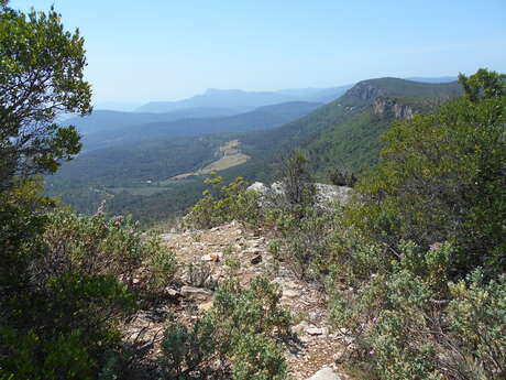 #RDVduParc • Le circuit du Grand Cap