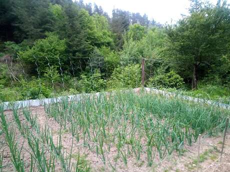 Permaculture Tour - La Ferme des Petites Fougères