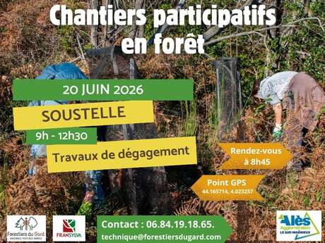 Chantiers participatifs en forêt