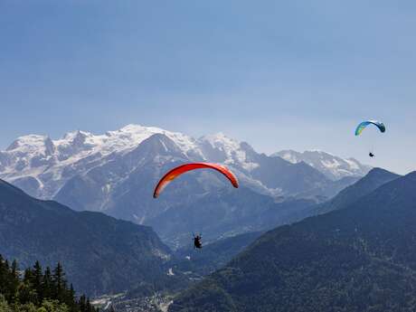 French Paragliding Landing Accuracy Championship