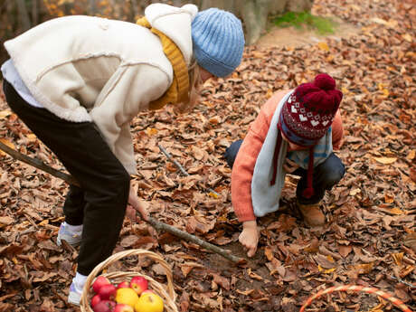 Balade "cueillette" dans les bois