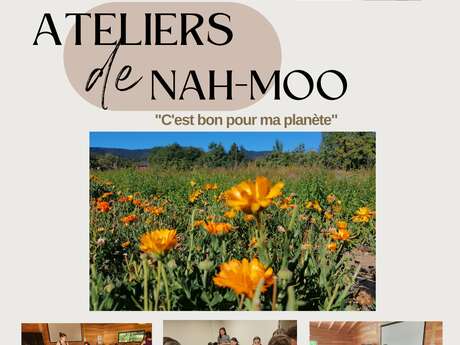Collectif Nah-moo et ses ateliers