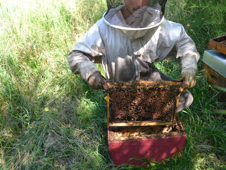 Spaziergang zum Bienenhaus von L'Abeille de Ré