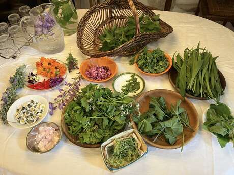 Atelier de cuisine et balade botanique avec les Aventurières du Goût