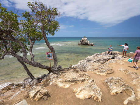 Guided tour of Nouméa - Malo Transports