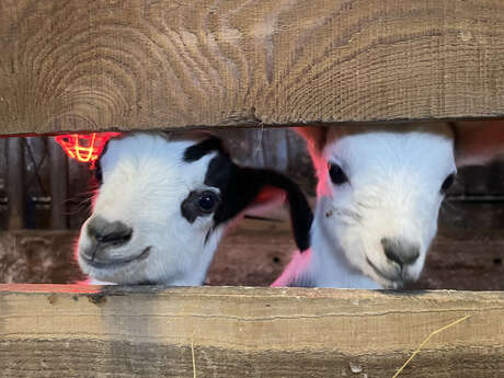 Visite de la Ferme des Molières