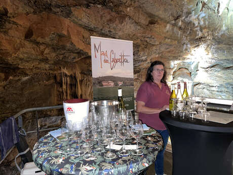 Dégustation souterraine - Vignoble en scène