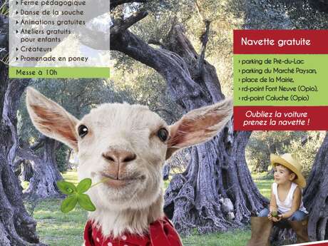 Fête Agricole du Brusc