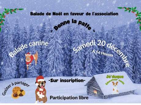 Balade canine dans les gorges de pereille pour l'association  donne la patte