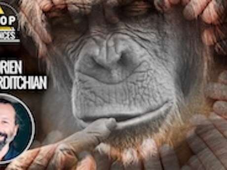 Un monde de droitiers ? Aux origines des préférences manuelles chez les primates