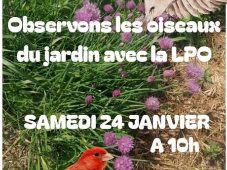 Watching garden birds with the LPO