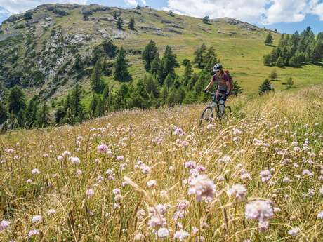 VTT N°16 - Le Tour des Têtes