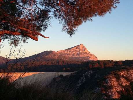 Conférence : Les Sainte Victoire pendant et après Cezanne