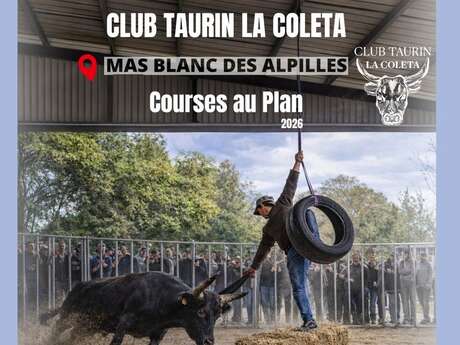 The Races at La Coleta Bullfighting Club