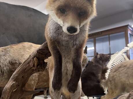 Atelier - La question de Fino