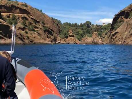 Sanary Aventure Marine : Sortie détente & baignade