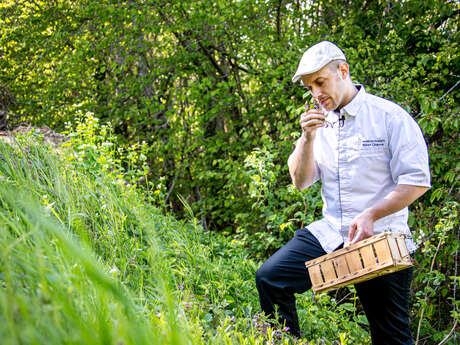 salida para recoger plantas - Refuge des Gourmets