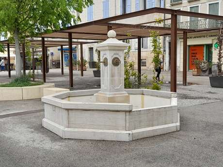 Fontaine place du Terreau