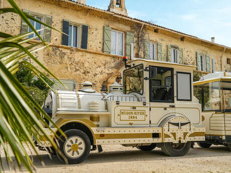 Petit train des vignes - Balade au cœur du terroir londais 2