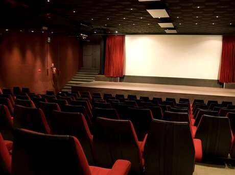 Cinéma Henri Verneuil