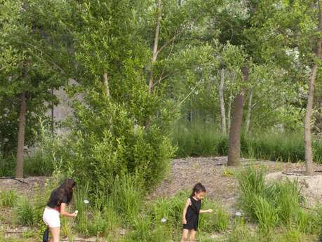 La petite visite : Quand je serai graine grande