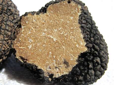 Truffle market - Vongnes