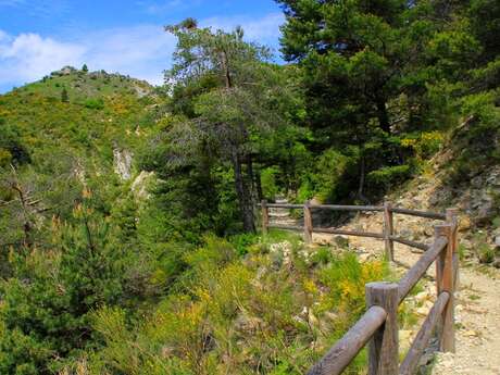 A round-trip to Peyroules