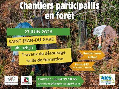 Les chantiers participatifs en forêt font leur grand retour !