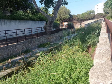 Visit of the archaeological site of Tholon