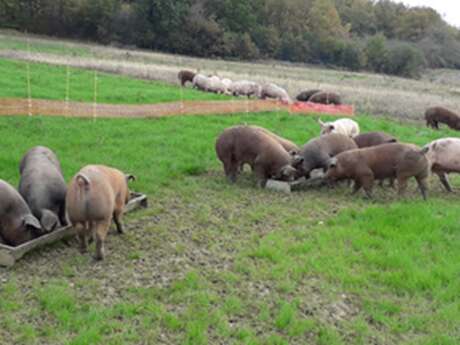 Ferme de Samuel Fabiau