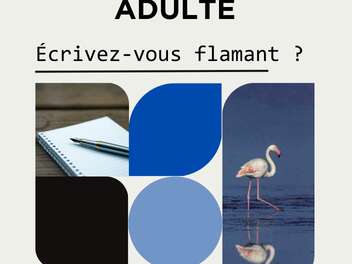 Atelier d'écriture : Ecrivez-vous flamants ?